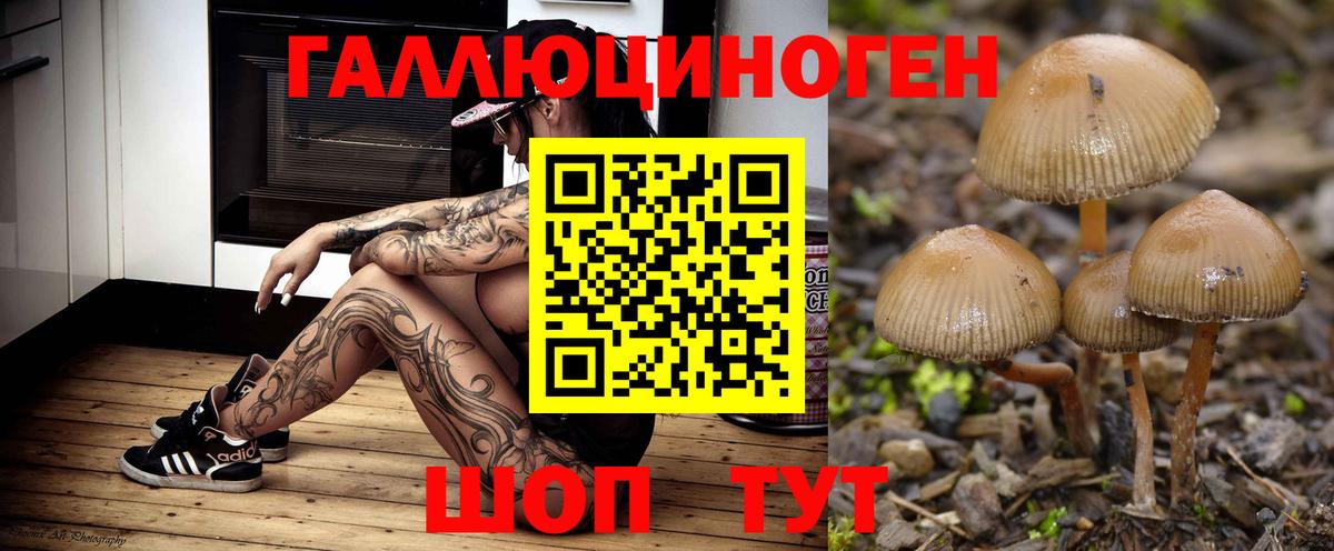 Урюпинск  Галлюциногенные грибы ЛСД  Вход с VPN 
